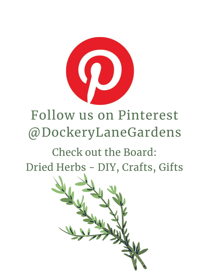 a flyer sharing pinterest account @dockerylanegardens. check out board: Dried Herbs. includes images of pineterest logo and  whimsical leaf sprig.